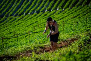 BIB: 
                            <button type="button" onclick="openModal(19161084)" class="btn btn-primary btn-sm float-right btn-popup" data-toggle="modal" data-target=".modal-high-quality">
                        <i class="fas fa-shopping-cart"></i> Add to Cart
                    </button>
                                            <button type="button" onclick="isThisMe(19161084, true)" class="btn btn-success btn-sm float-right btn-popup btn-isme hidden" data-toggle="tooltip" data-placement="bottom" title="นี่คือรูปของคุณใช่ไหม คลิกที่นี่เพื่อเอาเข้าอัลบั้ม">
                        <i class="fas fa-plus"></i> Add to album
                    </button>
                    <button type="button" onclick="isThisMe(19161084, false)" class="btn btn-warning btn-sm float-right btn-popup btn-isnotme hidden">
                        <i class="fas fa-ban"></i> Remove from album
                    </button>